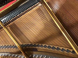 Example photo of grand piano strings and tuning pins