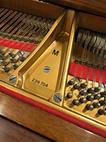 Example photo of a Steinway serial number on the cast-iron plate